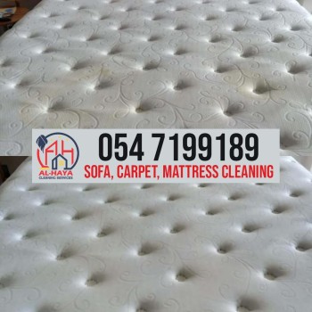 professional sofa cleaning services 0547199189