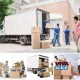 PROFESSIONAL MOVER PACKER AND  SHIFTER 056 1822306