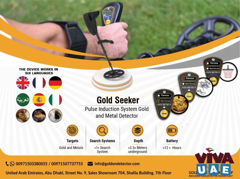 Professional gold detector for natural gold - Gold seeker device