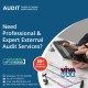 Need Professional & Expert External Audit Services?