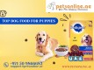 Dog food UAE