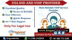 USA VOiP and DID number by kingasterisk Technologies