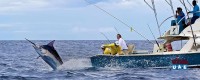 The best Dubai Deep Sea Fishing Trip – Beach Riders