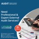 Need Professional & Expert External Audit Services?