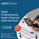 Need Professional & Expert External Audit Services?