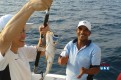 Cheap Fishing Trip Dubai - Beach Riders Dubai