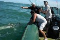 Deep sea fishing Dubai - Beach Riders Dubai