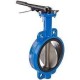 Are You Looing Butterfly Valves in UAE