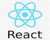 Reactjs Web Application Development Company India