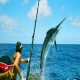 Dubai deep sea fishing trip - Beach Riders Dubai 