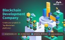 Leading Blockchain Development Company In India | Metadiac