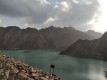 Musandam/Dibba Cruise in OMAN Full Day Tour with Lunch