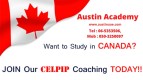 CELPIP Training in Sharjah with Best Offer 0503250097