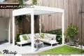 BEAUTIFUL ALUMINIUM PERGOLA FOR GARDEN