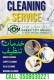 Green City Maids Cleaning Service