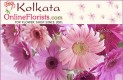 Best Gifts for Occasion of Light  in Kolkata Free Delivery Cheap Price