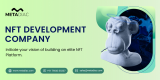 Certified NFT Development Company - MetaDiac