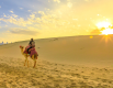 Desert Safari Abu Dhabi | Dubai Desert Ride