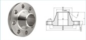 Orifice Weld Neck Flange