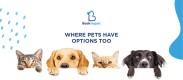 Your favorite pet boarding service providers in dubai.