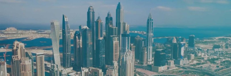 What are the Types of Companies in the UAE?