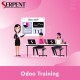 Odoo erp training | Odoo developer course- SerpentCS