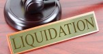 LIQUIDATION SERVICES IN JAFZA | Elevate Auditing