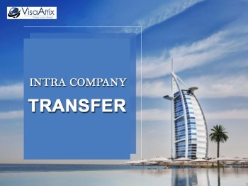 Intra Company Transfer in Dubai - Visaafix