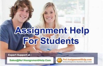 Get All Assignment Help By An Expert - No1AssignmentHelp.Com