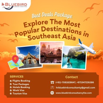 Tourist visa consultants