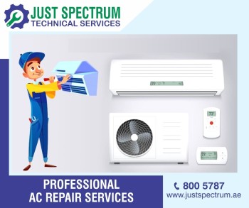 Professional AC Repair Service 