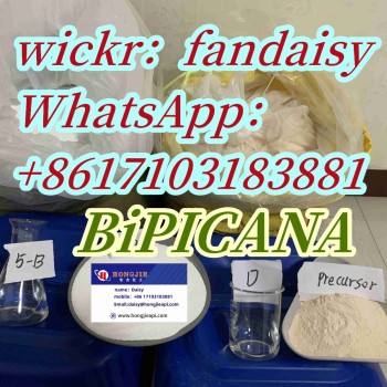 BiPICANA 41979-39-9 5337-93-9 37148-48-4 61-54-1 56786-63-1 4584-49-0 37148-47-3  