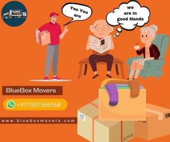 0501566568 BlueBox Movers and Packers in Dubai Villa,Flat,Office move with Close Truck 