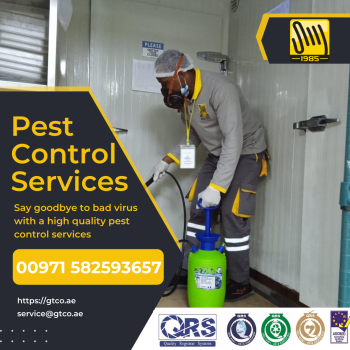 Pest Control in Abu Dhabi – Safe and Effective Methods 