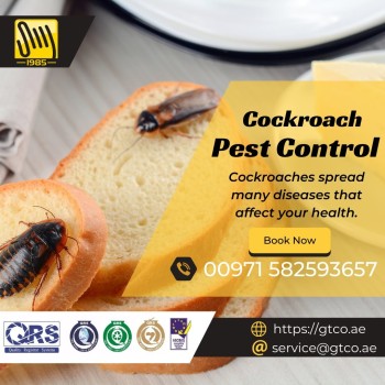 The Best Cockroach Pest Control Service in Abu Dhabi 