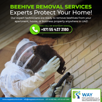 Get Rid of Pests for Good! Call Our Professional Pest Control Services Today