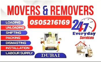 Professional movers and Packers In Dubai Any Place 