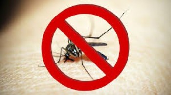 Mosquito Prevention and Control Services