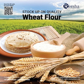 WHEAT FLOUR FOR ALL PURPOSE - B2B REESHA FOOD STUFF GENERAL TRADING DUBAI