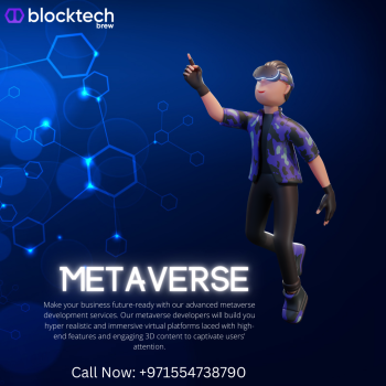 Metaverse Development Company | Build Your Virtual World | BlockTech Brew