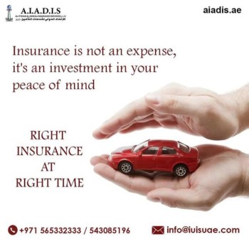 Top Insurance Services in Dubai | Al Ittihad Al Dowali Insurance Services