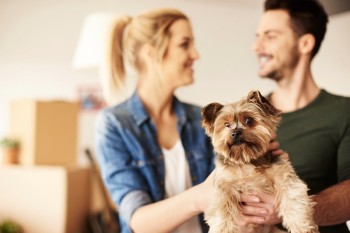   Pet Shipping & relocation company in Dubai
