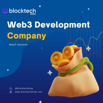 Choose the Best: Blocktech Brew - Your Premier Web3 Development Company