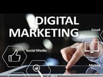 Transform Your Brand with Customized Digital Marketing Services