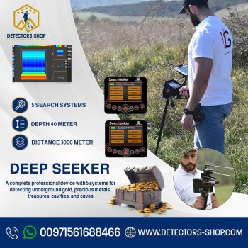 DEEP SEEKER DETECTOR 