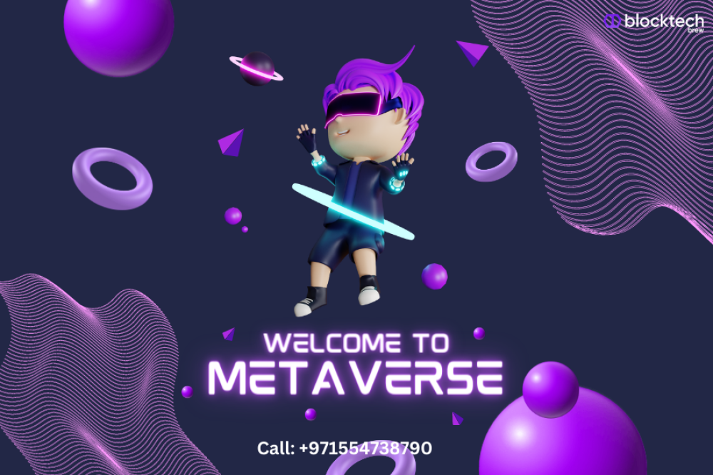 Leading Metaverse NFT Marketplace Development Company
