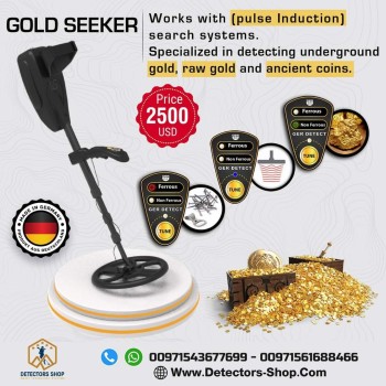 Gold seeker detector