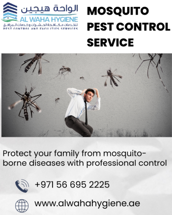  Mosquito Control in Dubai: Tips for Keeping Your Home Mosquito-Free