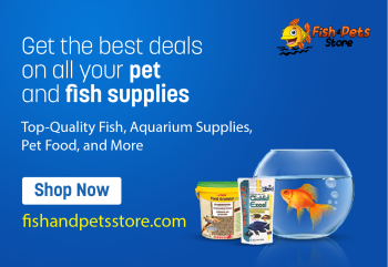 Fish Food Online in Dubai