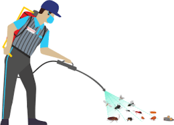 Al Waha Hygiene: Your Trusted Abu Dhabi Pest Control Provider